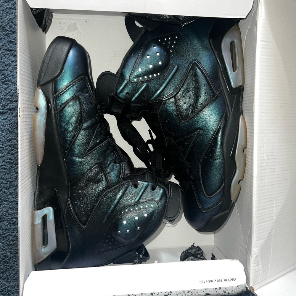 Jordan 6 Retro Chameleon